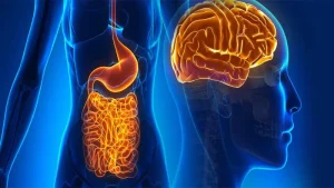 شایع‌ترین مشکلات گوارشی ناشی از اضطراب کدامند؟